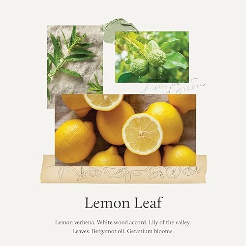 Thymes Countertop Cleaner - Lemon Leaf Scent 165 fl oz