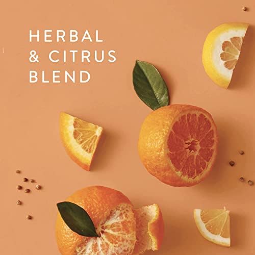 Thymes Countertop Spray - 165 Fl Oz - Mandarin Coriander