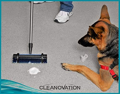 Cleanovation Rug Renovator Cleaning Brush