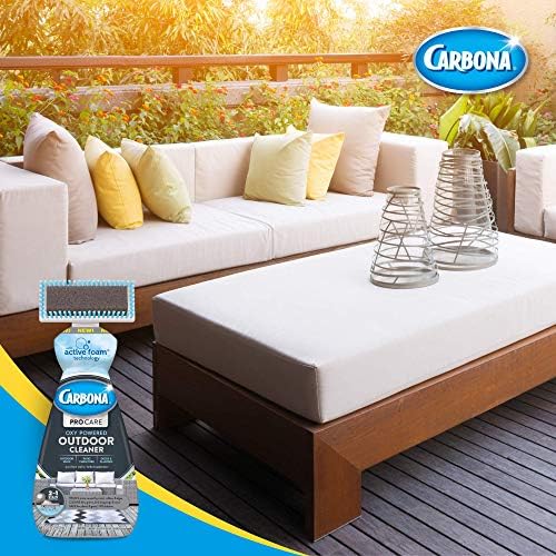 Carbona Pro Care Oxy Powered Outdoor Cleaner 22 Fl Oz 2 Pack