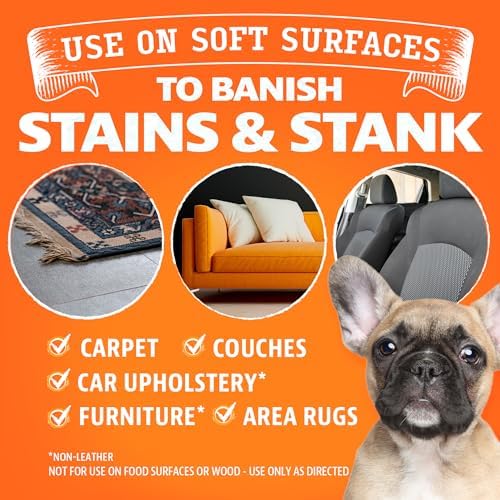 ANGRY ORANGE Foaming Carpet Cleaner - 24 oz