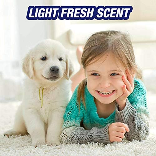 Resolve Ultra Pet Odor Stain Remover 32oz Pack of 2