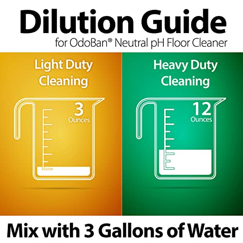 OdoBan Pet Solutions Floor Cleaner Stain Remover Set 1