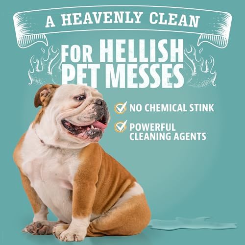ANGRY ORANGE Foaming Carpet Cleaner - 24 oz