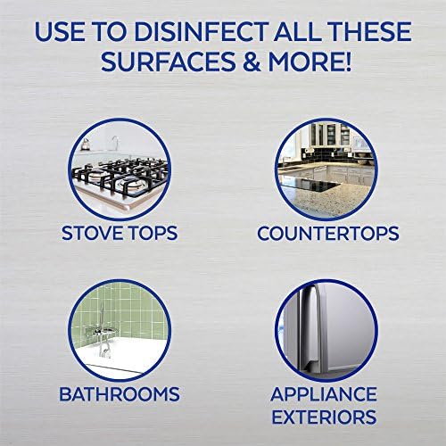 Lysol All Purpose Surface Disinfectant Cleaner Liquid 32 oz Lemon Breeze