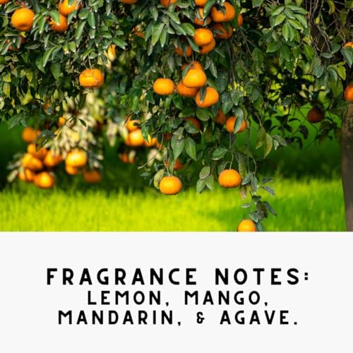 The Diamond Life Citrus Carpet Upholstery Deodorizer Freshener