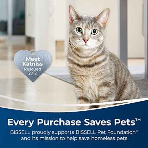 Bissell Simply Upright Carpet Cleaner 48 Fl Oz