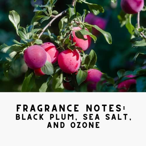 The Diamond Life Noir Luxe Carpet Powder Air Freshener Bundle
