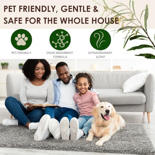 Saturday Morning Fresh Carpet Odor Eliminator Deodorizing Powder