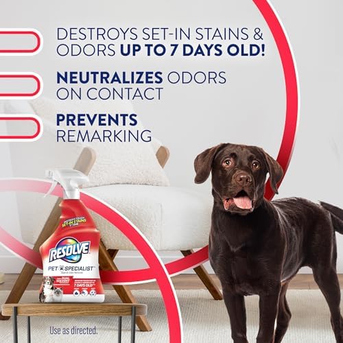 Resolve Pet Specialist Stain Odor Remover Spray 22Fl Oz