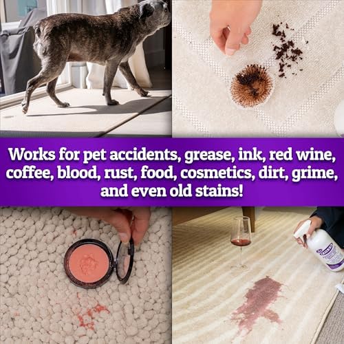 FOLEX 2 Pack Carpet Spot Remover 34OZ