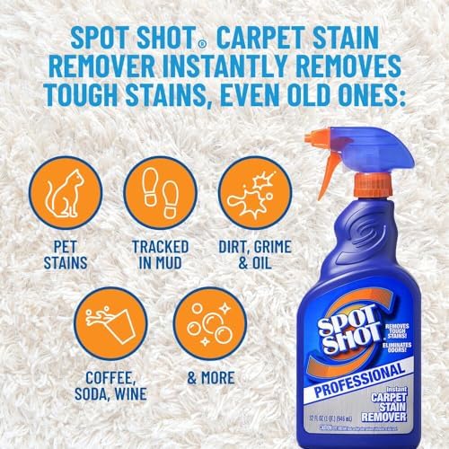 Professional Instant Carpet Stain Remover 2-Pack